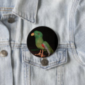 Jan Shackelford Parrot Button Electus (In situ)