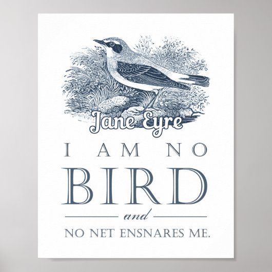 Jane Eyre - ik ben geen vogel - vogel Poster (Voorkant)