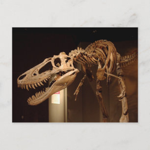 Jane - Uitzicht #6 Briefkaart