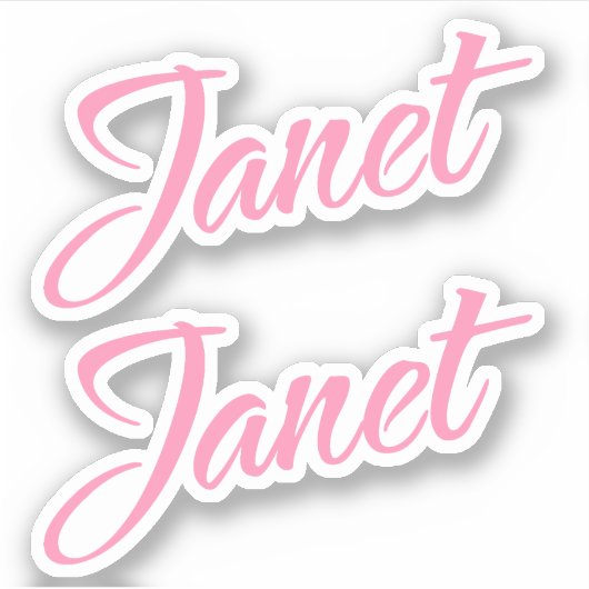 Janet Roze Naam x2 Sticker (Voorkant)