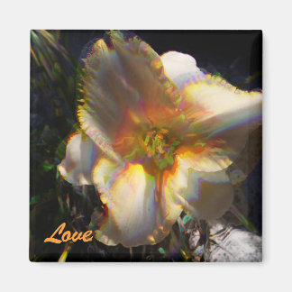 Janice's Lilly, liefje Magneet