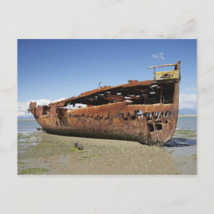 Janie Seddon Shipwreck, Motueka, Nelson Briefkaart