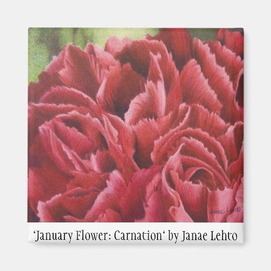 "Januari Bloem: Anjer" Magneet (Voorkant)