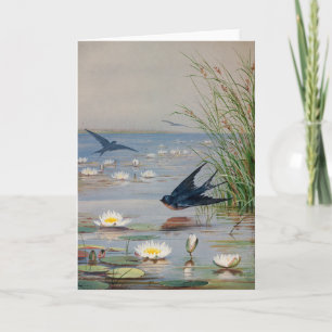 januari   Fidelia Bridges Kaart