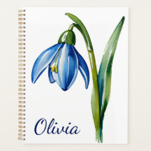 Januari geboorte bloem geschenk Blauwe sneeuwklokb