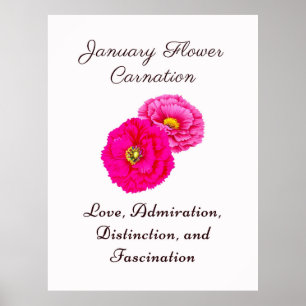 Januari Geboortemaand Bloem Anjer Elegante Flora Poster