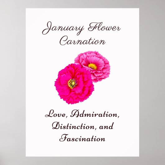 Januari Geboortemaand Bloem Anjer Elegante Flora Poster (Voorkant)