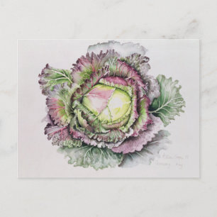 Januari King Cabbage Briefkaart