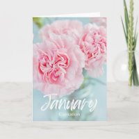 Januari Roze Anjer Geboorte Maand Bloem Verjaardag
