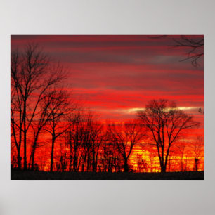 Januari Sunset Poster