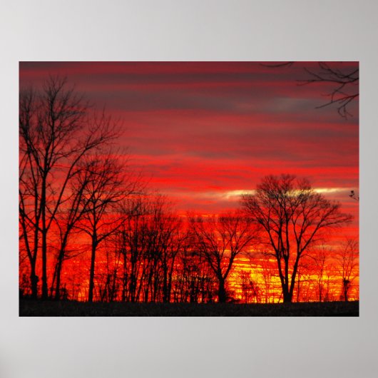 Januari Sunset Poster (Voorkant)