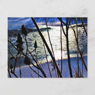 Januari Sunshine op Ice Snow Sumac Natuur Patronen Briefkaart