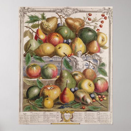 Januari, "Twaalf maanden fruit" Poster (Voorkant)