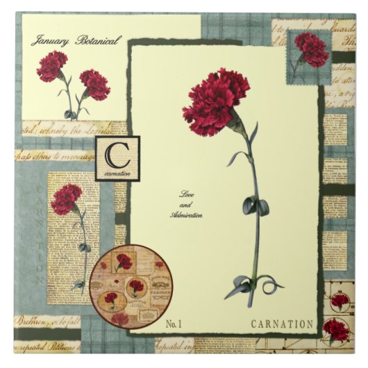 Januari's Bloem Tegeltje (Voorkant)