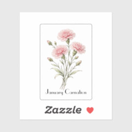 January Carnation Flowers  Sticker