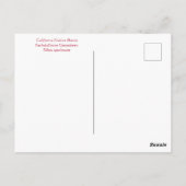 JANVIER JOYEUX ! CARTE POSTALE (Dos)