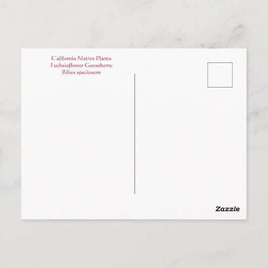 JANVIER JOYEUX ! CARTE POSTALE (Dos)