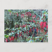 JANVIER JOYEUX ! CARTE POSTALE (Devant)