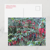 JANVIER JOYEUX ! CARTE POSTALE (Devant / Derrière)