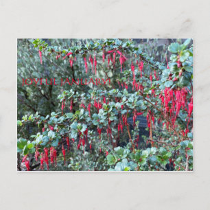 JANVIER JOYEUX ! CARTE POSTALE