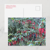 JANVIER JOYEUX ! CARTE POSTALE (Devant / Derrière)