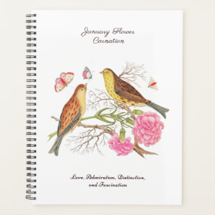 Janvier Mois de naissance Fleur Anniversaire Cadea