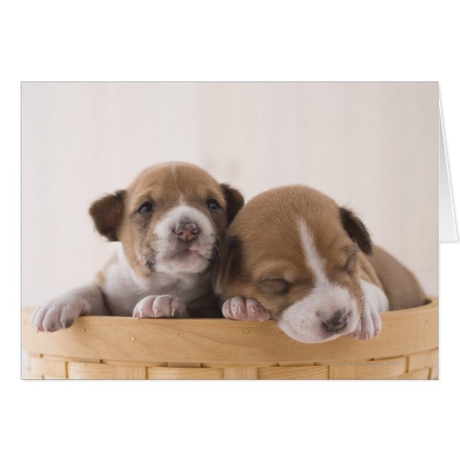 Japan (Voorkant Horizontaal)