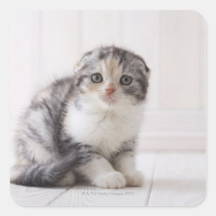 Japan 5 vierkante sticker