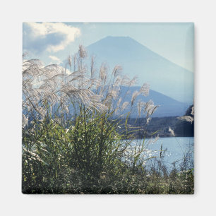 Japan, Honshu, Yamanashi Pref., Fuji-Hakone-Izu Magneet