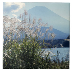 Japan, Honshu, Yamanashi Pref., Fuji-Hakone-Izu Tegeltje