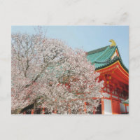 Japan, Kyoto. Cherry-bloesem van Shinto