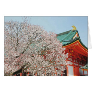 Japan, Kyoto. Kersenbloesem van Shinto