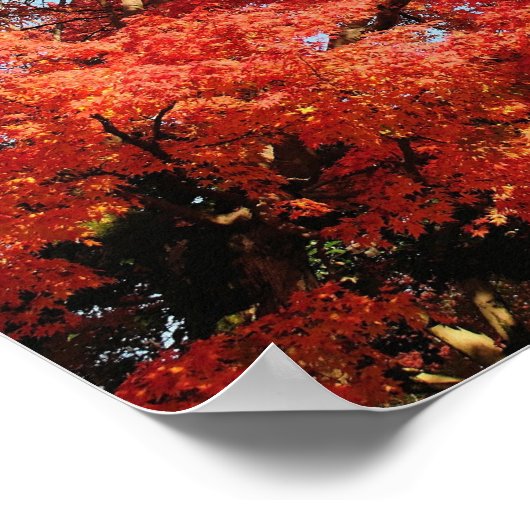 Japan, Kyoto. Kiyomizu-tempel in de herfstkleur Poster (Hoek)