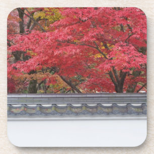 Japan, Kyoto, najaarkleur bij Eikando-tempel Drankjes Onderzetter