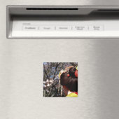 Japan, Kyoto. Sluiting achterste uitzicht van geis Magneet (Insitu (Vaatwasser))