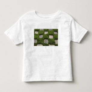 Japan, Kyoto, Tofukuji-tempel, Tuin Kinder Shirts