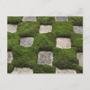 Japan, Kyoto, Tofukuji Temple, Tuin Briefkaart