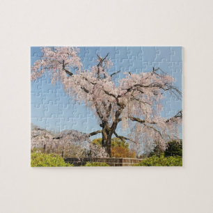 Japan, Kyoto. Treurwilg kersenboom onder blauwe lu Legpuzzel