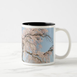 Japan, Kyoto. Treurwilg kersenboom onder blauwe lu Tweekleurige Koffiemok