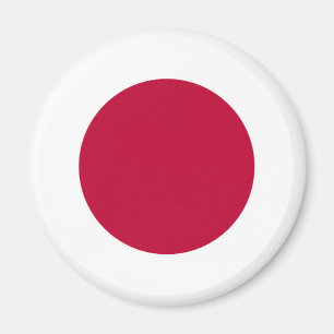 japan magneet