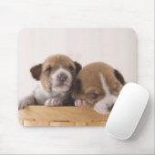 Japan Muismat (Met muis)