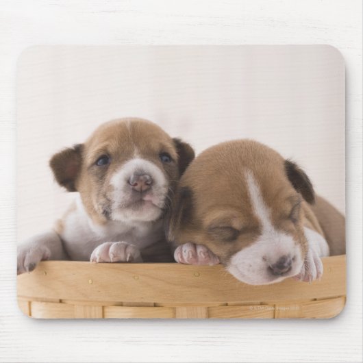 Japan Muismat (Voorkant)