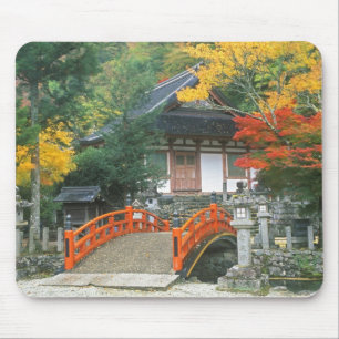 Japan, Nara, Ryuzenji-tempel Muismat