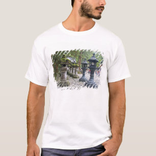 Japan, Nikko. Toshogu-heiligdom en mausoleum in T-shirt