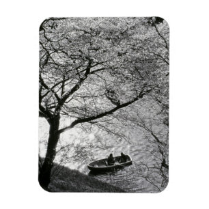 Japan, Tokio. Cherry-bloesems in het keizerrijk Magneet