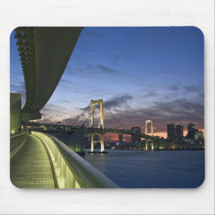 Japan. Tokio. Regenboogbrug in de Baai van Tokio. Muismat