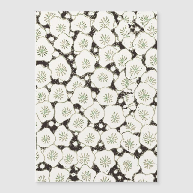 Japan Witte Bloemtuin (Voorkant)