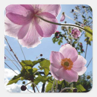 Japanese Anemone Vierkante Sticker