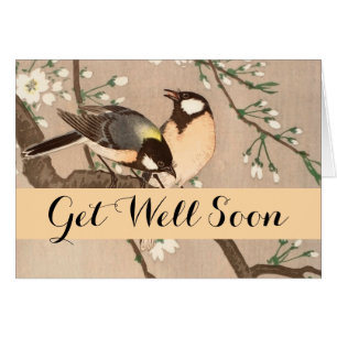 Japanese Asian Bird Chickadee Songbird