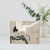 Japanese Crane on Branch of Pine, 1900-1930 Briefkaart (Staand voorkant)